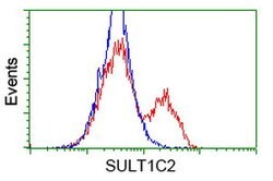 SULT1C2 Mouse anti-Human, Clone: OTI8A1, lyophilized, TrueMAB 100 &mu;g;