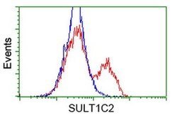 SULT1C2 Monoclonal Antibody (OTI8A1), TrueMAB , OriGene 100 &mu;L; Unconjugated:Antibodies,