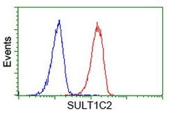 SULT1C2 Mouse anti-Human, Clone: OTI8A1, lyophilized, TrueMAB 100 &mu;g;