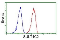 SULT1C2 Monoclonal Antibody (OTI8A1), TrueMAB , OriGene 100 &mu;L; Unconjugated:Antibodies,