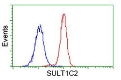 SULT1C2 Mouse anti-Human, Clone: OTI8A1, lyophilized, TrueMAB 100 &mu;g;