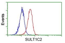 SULT1C2 Monoclonal Antibody (OTI4H4), TrueMAB , OriGene 100 &mu;L; Unconjugated:Antibodies,