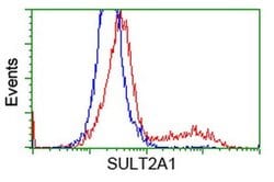SULT2A1 Monoclonal Antibody (OTI2A6), TrueMAB , OriGene 100 &mu;L; Unconjugated:Antibodies,