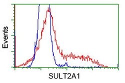SULT2A1 Mouse anti-Human, Clone: OTI4D7, lyophilized, TrueMAB 100 &mu;g;