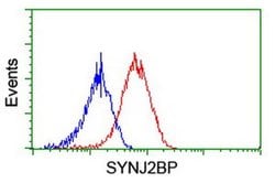 SYNJ2BP Mouse anti-Human, Clone: OTI3A9, liquid, TrueMAB 100 &mu;L; Unconjugated:Antibodies,