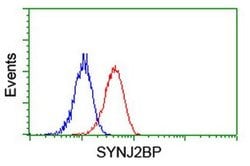 SYNJ2BP Mouse anti-Human, Clone: OTI3A9, liquid, TrueMAB 100 &mu;L; Unconjugated:Antibodies,