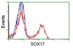 Sox17 Mouse anti-Human, Clone: OTI2F9, lyophilized, TrueMAB 100 &mu;g;
