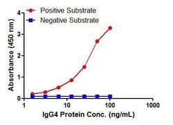 IgG4 Mouse anti-Human, Biotin, Clone: OTI4B12, TrueMAB , Origene 50 &mu;g;