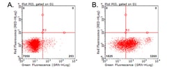 PD L1 (CD274) Monoclonal Antibody (OTI14H4), OriGene 30 &mu;L; Unconjugated:Antibodies