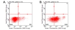 PD L1 (CD274) Monoclonal Antibody (OTI14H4), OriGene 30 &mu;L; Unconjugated:Antibodies