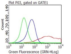 CD40 Monoclonal Antibody (OTI9B6), TrueMAB , OriGene 100 &mu;L; Unconjugated:Antikörper