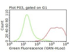 CD47 Monoclonal Antibody (OTI3H1), TrueMAB , OriGene 100 &mu;L; Unconjugated:Antibodies,