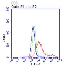 FCGR3A Monoclonal Antibody (OTI12H8), TrueMAB , OriGene 30 &mu;L | Buy Online | Origene Technologies | Fisher Scientific