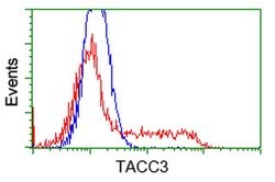 TACC3 Monoclonal Antibody (OTI8F6), TrueMAB , OriGene 100 &mu;L; Unconjugated:Antibodies,
