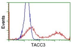 TACC3 Monoclonal Antibody (OTI8B7), TrueMAB , OriGene 100 &mu;L; Unconjugated:Antibodies,