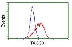 TACC3 Monoclonal Antibody (OTI8B7), TrueMAB , OriGene 100 &mu;L; Unconjugated:Antibodies,