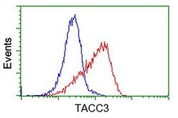 TACC3 Monoclonal Antibody (OTI8B7), TrueMAB , OriGene 100 &mu;L; Unconjugated:Antibodies,