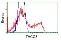 TACC3 Monoclonal Antibody (OTI6F1), TrueMAB , OriGene 100 &mu;L; Unconjugated:Antibodies,