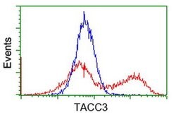 TACC3 Monoclonal Antibody (OTI1E11), TrueMAB , OriGene 30 &mu;L | Buy Online | OriGene | Fisher Scientific