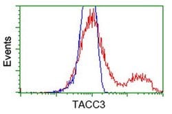TACC3 Monoclonal Antibody (OTI6H4), TrueMAB , OriGene 100 &mu;L; Unconjugated:Antibodies,