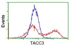 TACC3 Mouse anti-Human, Clone: OTI1E8, lyophilized, TrueMAB 100 &mu;g;