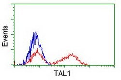 TAL1 Mouse anti-Human, Clone: OTI4A6, lyophilized, TrueMAB 100 &mu;g; Unconjugated:Antibodies,