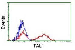 TAL1 Monoclonal Antibody (OTI4A6), TrueMAB , OriGene 100 &mu;L; Unconjugated:Antibodies,