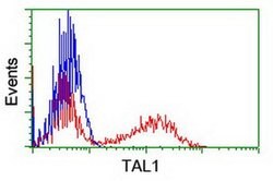 TAL1 Monoclonal Antibody (OTI5B12), TrueMAB , OriGene:Antibodies:Primary
