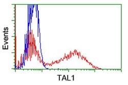 TAL1 Monoclonal Antibody (OTI5C4), TrueMAB , OriGene 100 &mu;L; Unconjugated:Antibodies,