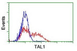 TAL1 Monoclonal Antibody (OTI6H6), TrueMAB , OriGene 100 &mu;L; Unconjugated:Antibodies,