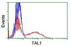 TAL1 Mouse anti-Human, Clone: OTI5H1, liquid, TrueMAB 30 &mu;L | Buy Online | Origene Technologies | Fisher Scientific
