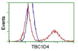 TBC1D4 Monoclonal Antibody (OTI5E6), TrueMAB , OriGene 30 &mu;L | Buy Online | OriGene | Fisher Scientific