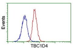 TBC1D4 Monoclonal Antibody (OTI5E6), TrueMAB , OriGene 30 &mu;L | Buy Online | OriGene | Fisher Scientific