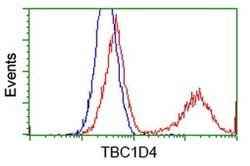 TBC1D4 Monoclonal Antibody (OTI5A6), TrueMAB , OriGene 30 &mu;L; Unconjugated:Antibodies,