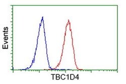 TBC1D4 Monoclonal Antibody (OTI5A6), TrueMAB , OriGene 30 &mu;L; Unconjugated:Antibodies,