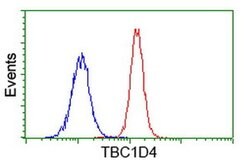 TBC1D4 Monoclonal Antibody (OTI5A6), TrueMAB , OriGene 30 &mu;L; Unconjugated:Antibodies,