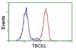 TBCEL Monoclonal Antibody (OTI3H3), TrueMAB , OriGene 30 &mu;L | Buy Online | Origene Technologies | Fisher Scientific