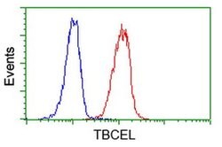 TBCEL Monoclonal Antibody (OTI3H3), TrueMAB , OriGene 30 &mu;L | Buy Online | Origene Technologies | Fisher Scientific