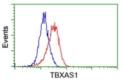 TBXAS Monoclonal Antibody (OTI1H9), TrueMAB , OriGene 30 &mu;L; Unconjugated:Antibodies,