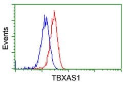 TBXAS Mouse anti-Human, Rat, Clone: OTI2C1, liquid, TrueMAB 100 &mu;L;