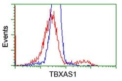 TBXAS Monoclonal Antibody (OTI1H1), TrueMAB , OriGene 100 &mu;L; Unconjugated:Antibodies,