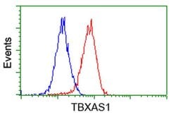 TBXAS Monoclonal Antibody (OTI1H1), TrueMAB , OriGene 100 &mu;L; Unconjugated:Antibodies,