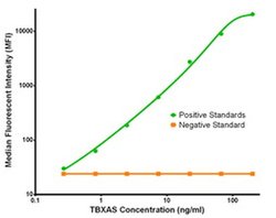 TBXAS Mouse anti-Human, Clone: OTI1C3, liquid, TrueMAB 100 &mu;g; Unconjugated:Antibodies,