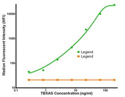 TBXAS Mouse anti-Human, Biotin, Clone: OTI2C1, liquid, TrueMAB 50 &mu;g;