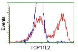 TCP11L2 Monoclonal Antibody (OTI2F10), TrueMAB , OriGene:Antibodies:Primary