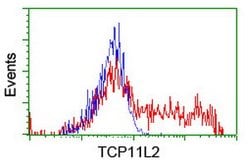 TCP11L2 Mouse anti-Human, Clone: OTI2H4, lyophilized, TrueMAB 100 &mu;g | Buy Online | Origene Technologies | Fisher Scientific