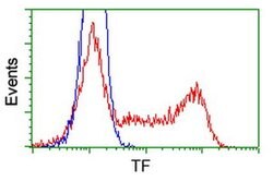 TF Mouse anti-Human, Clone: OTI5G2, liquid, TrueMAB 100 &mu;L | Buy Online | OriGene | Fisher Scientific