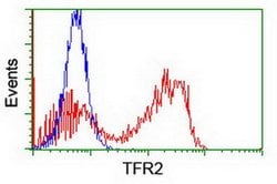TFR2 Mouse anti-Human, Mouse, Clone: OTI1B1, lyophilized, TrueMAB 100 &mu;g;