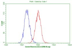 TGFB1 Mouse anti-Human, Clone: OTI1E12, liquid, TrueMAB 100 &mu;L; Unconjugated:Antibodies,