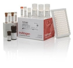 Invitrogen&trade;&nbsp;Human STAT5 alpha (Total/Phospho) [pY694/pY699] InstantOne&trade; ELISA Kit